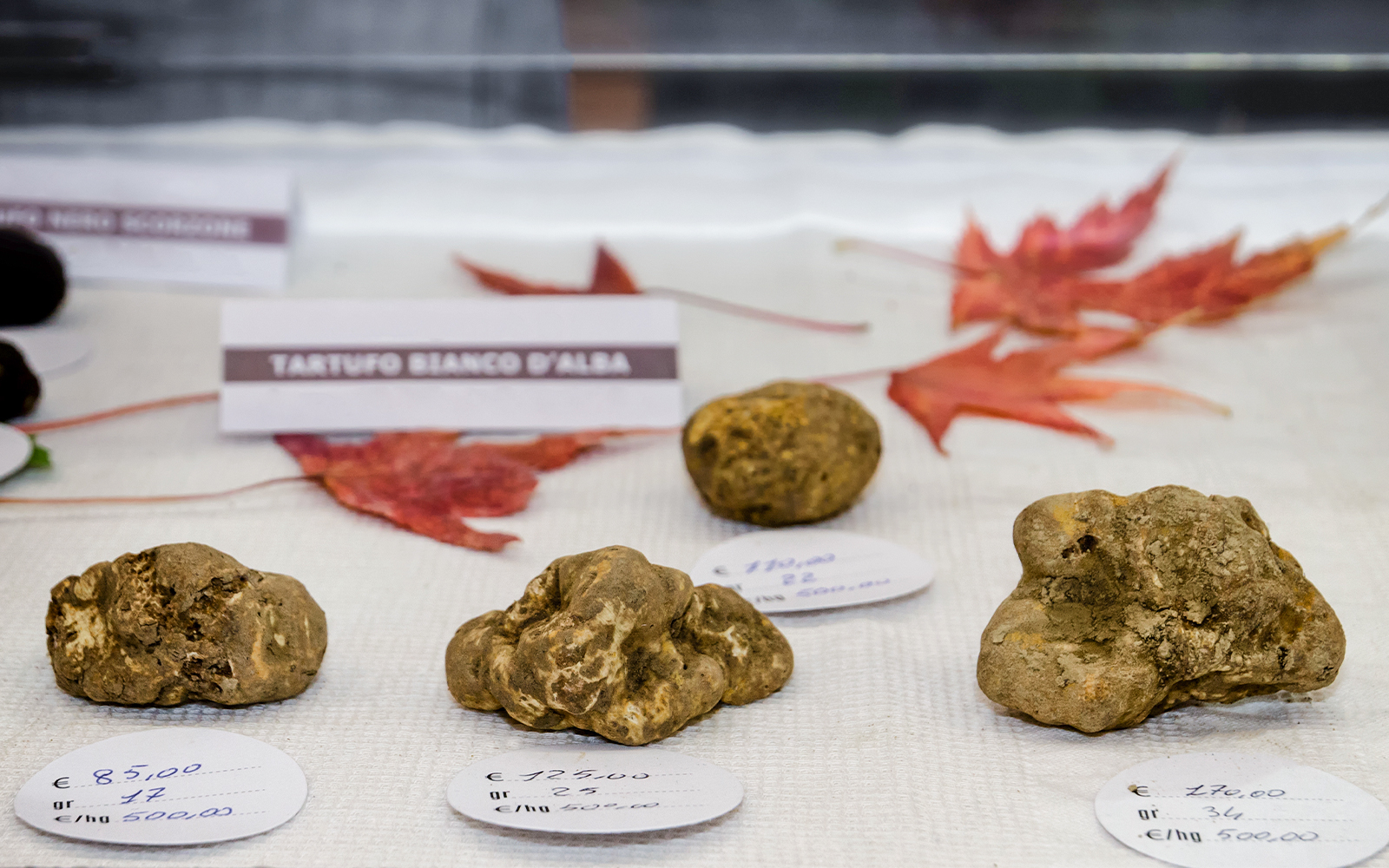 Alba White Truffle Fair	