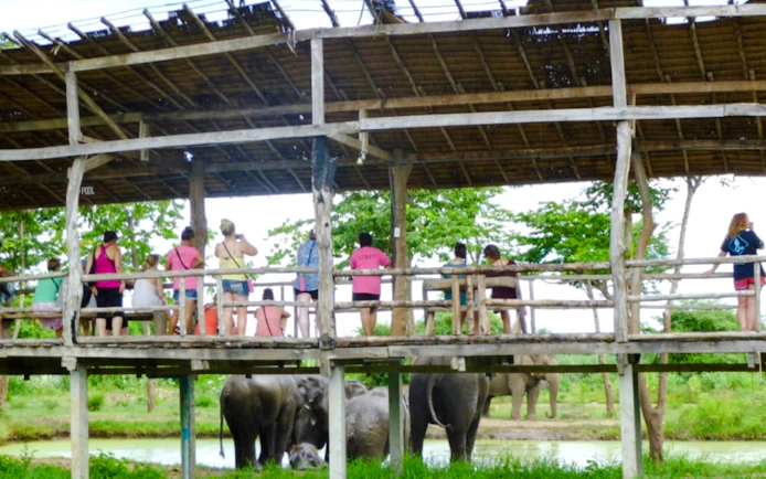 Elephants World Elephant Care Experience in Kanchanaburi with River Kwai Longtail Boat