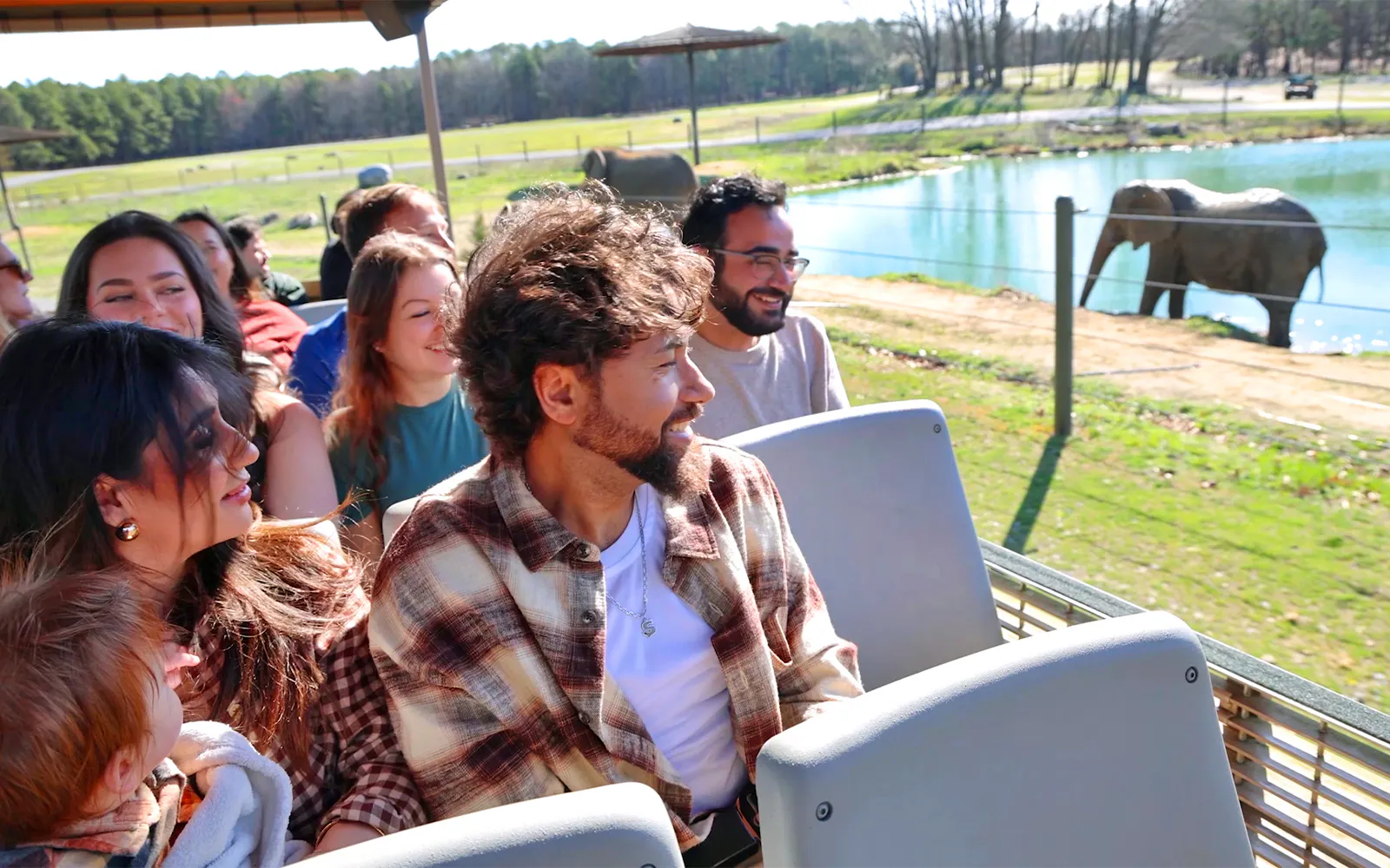 Visitors on a Six Flags Wild Safari off-road tour observe an elephant by a pond.