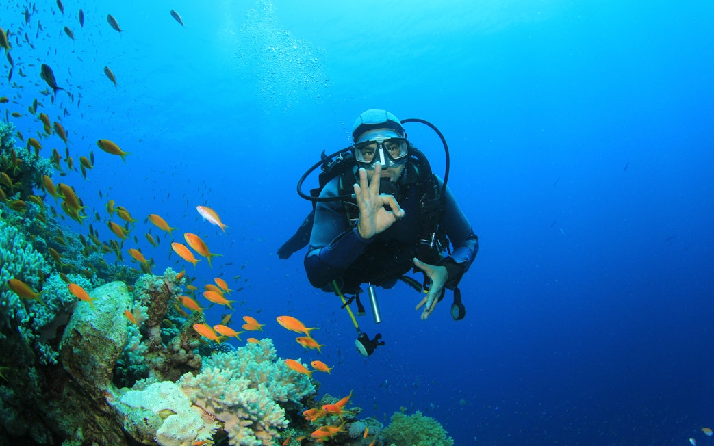 Scuba diver exploring coral reefs and fish in the Red Sea, Hurghada.