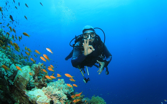 Scuba diver exploring coral reefs and fish in the Red Sea, Hurghada.