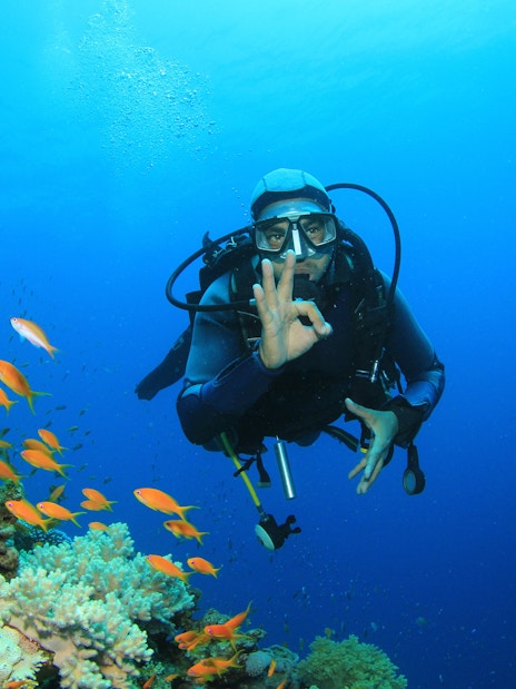 Scuba diver exploring coral reefs and fish in the Red Sea, Hurghada.