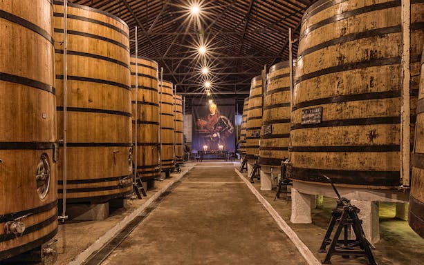 Wine barrels in a cellar during a Visita Clássica tour.