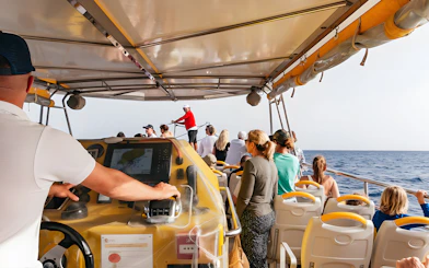 Tourists on a speedboat during a sunset dolphin cruise, with a guide steering the boat.