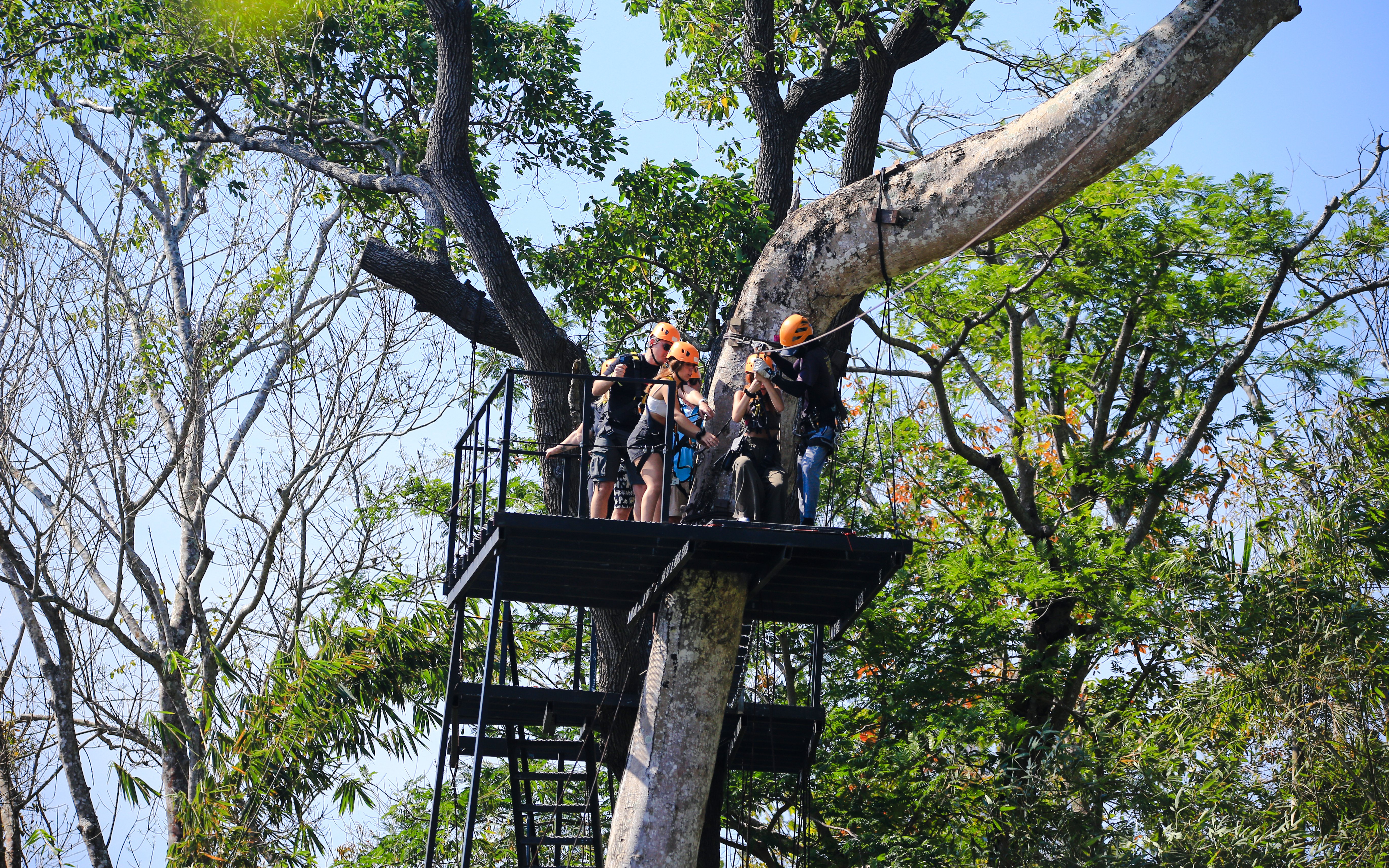 Group preparing to zipline from a tree platform in a forest setting.