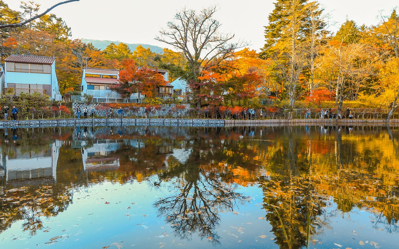 Karuizawa autumn foliage reflected in a tranquil pond near Hoshino Resorts, Japan.