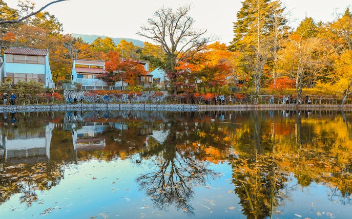 Karuizawa autumn foliage reflected in a tranquil pond near Hoshino Resorts, Japan.