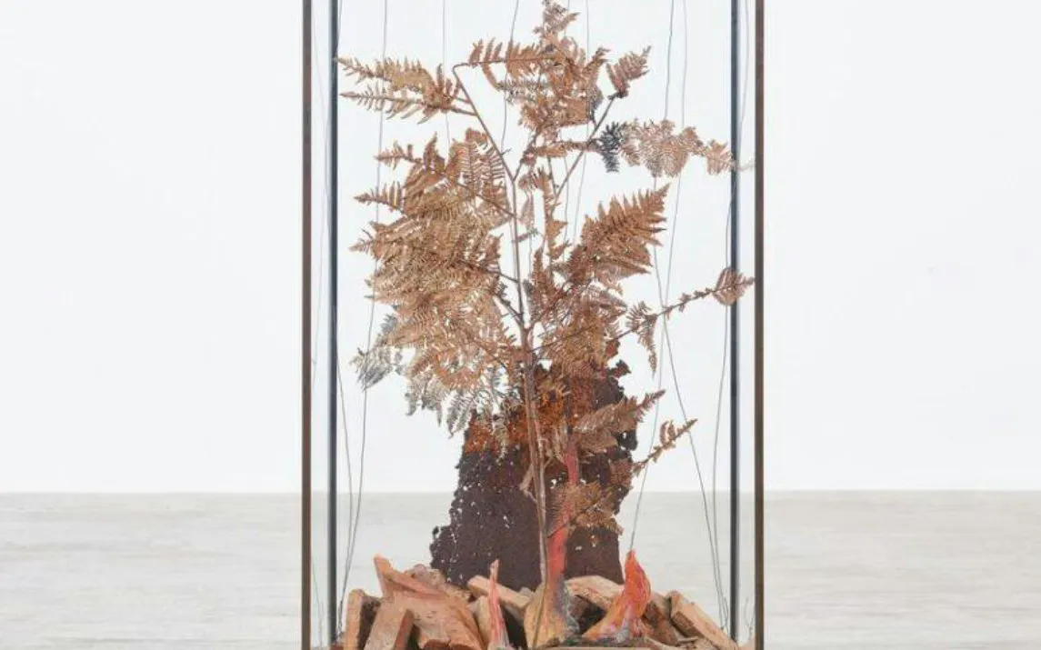 Sculpture of dried fern in glass case at Anselm Kiefer Exhibition, Casa Mila, Barcelona.