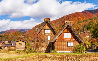 Traditional gassho-style houses in Shirakawa-go with autumn foliage, part of a 1-day tour from Nagoya.