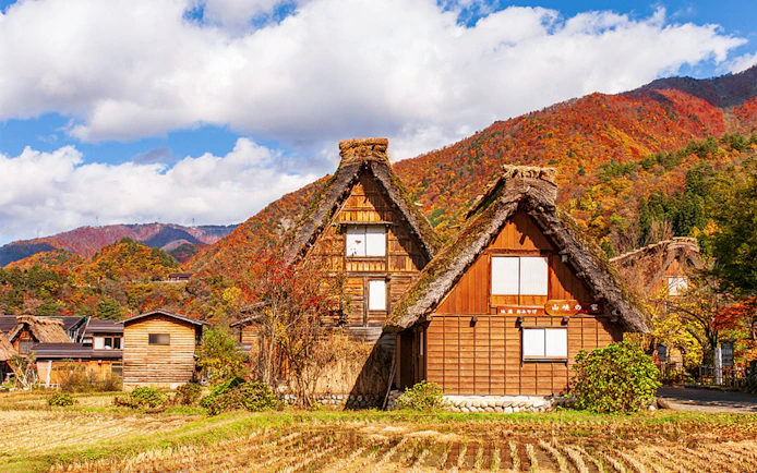 Traditional gassho-style houses in Shirakawa-go with autumn foliage, part of a 1-day tour from Nagoya.