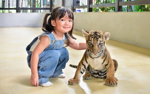 Child posing with tiger cub at Tiger Park Pattaya.