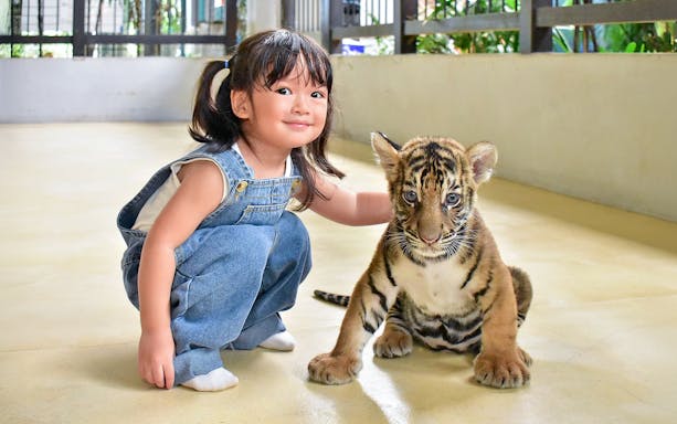 Child posing with tiger cub at Tiger Park Pattaya.