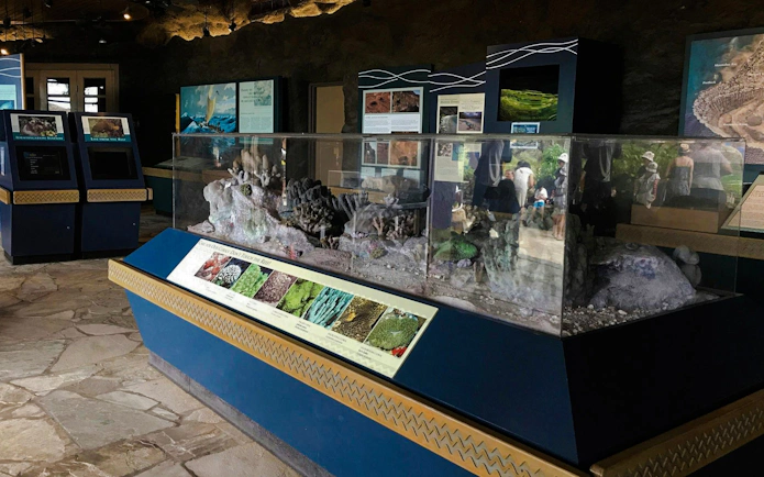 Hanauma Bay Nature Preserve exhibit showcasing coral reef conservation displays.