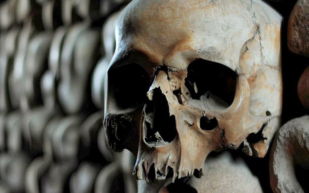 Skull in Paris Catacombs, part of entry tour with Seine River cruise.