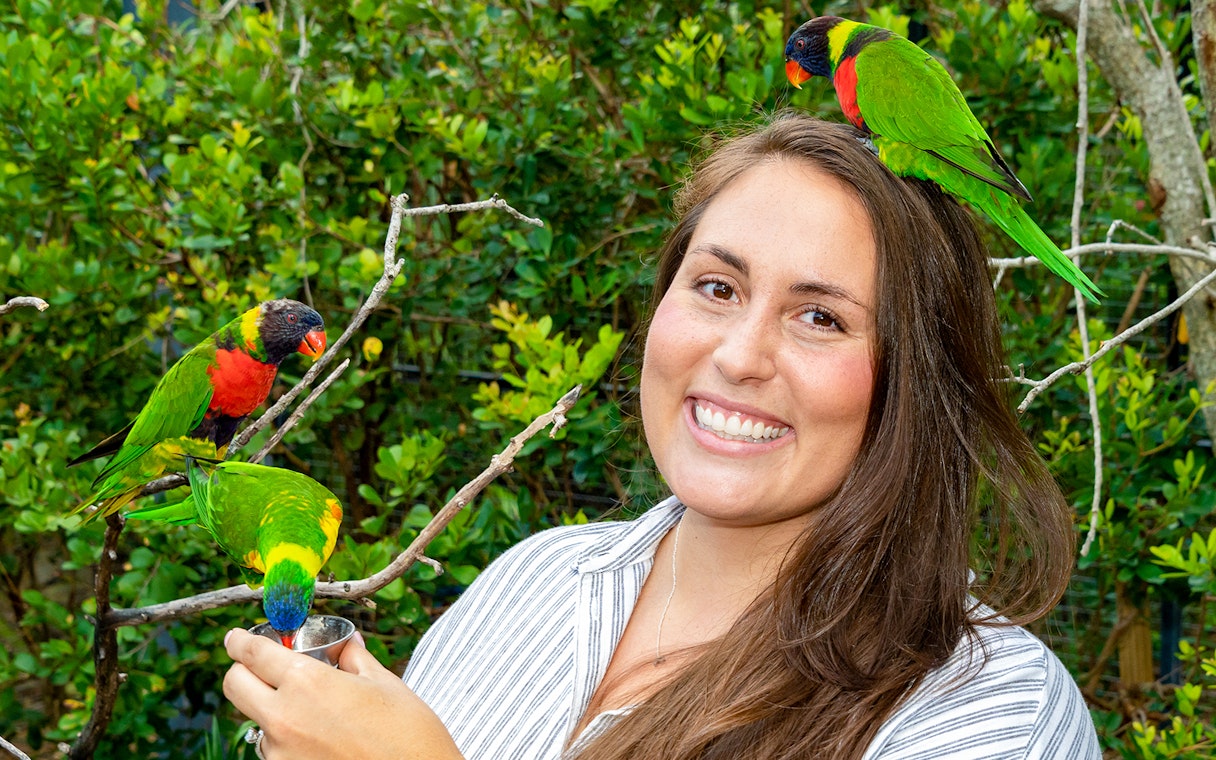 Guest feeding colorful parrots at Zoo Miami.