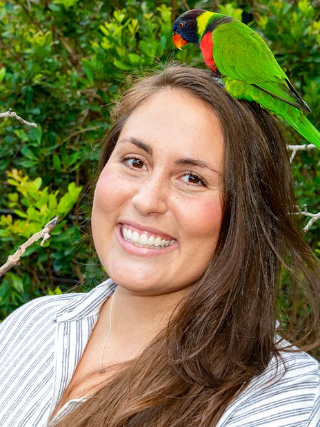 Guest feeding colorful parrots at Zoo Miami.