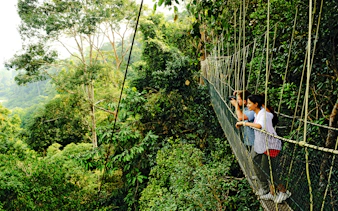 desde kuala lumpur: excursión privada de un día al parque nacional de taman negara con paseo por las copas de los árboles-1