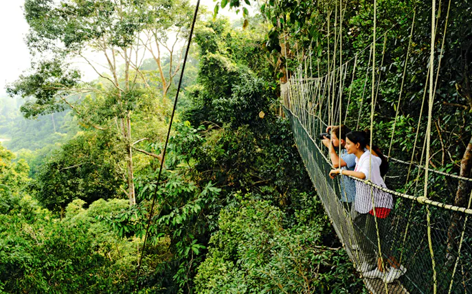 from kuala lumpur: taman negara national park private day trip with canopy walkway-1