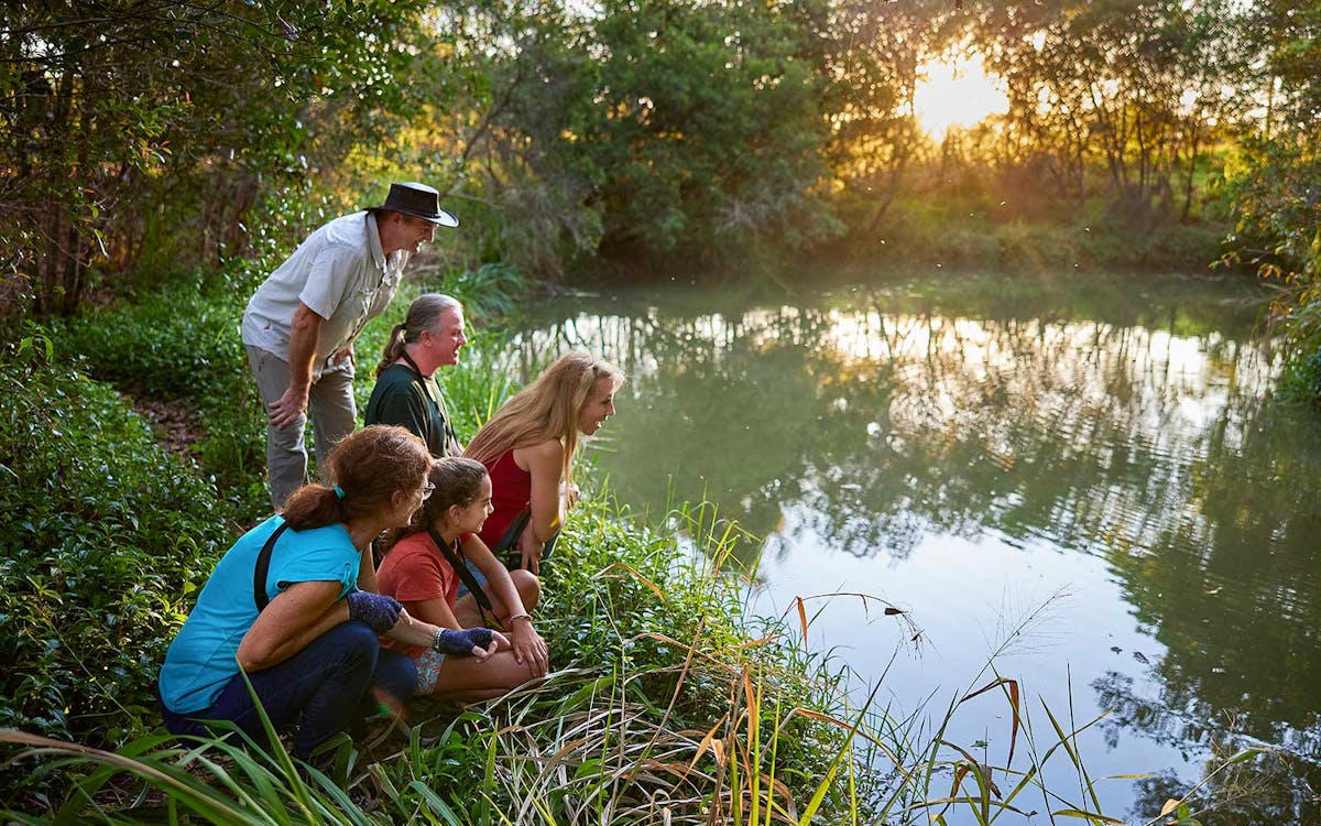 8-hour rainforest wildlife guided night tour from cairns-7 8-hour rainforest wildlife guided night tour from cairns-7