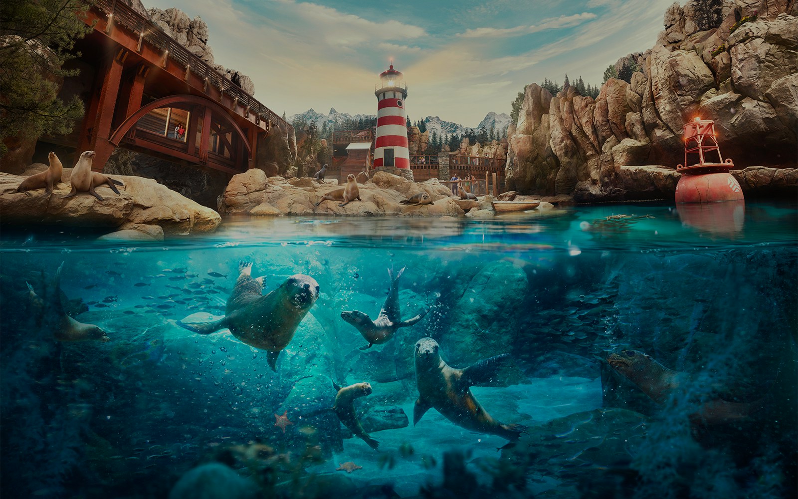 Seal and Sea lion encounter - SeaWorld Abu Dhabi