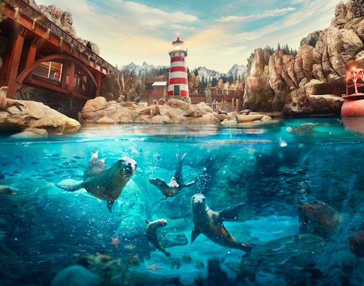 Realms at SeaWorld - Rocky Point