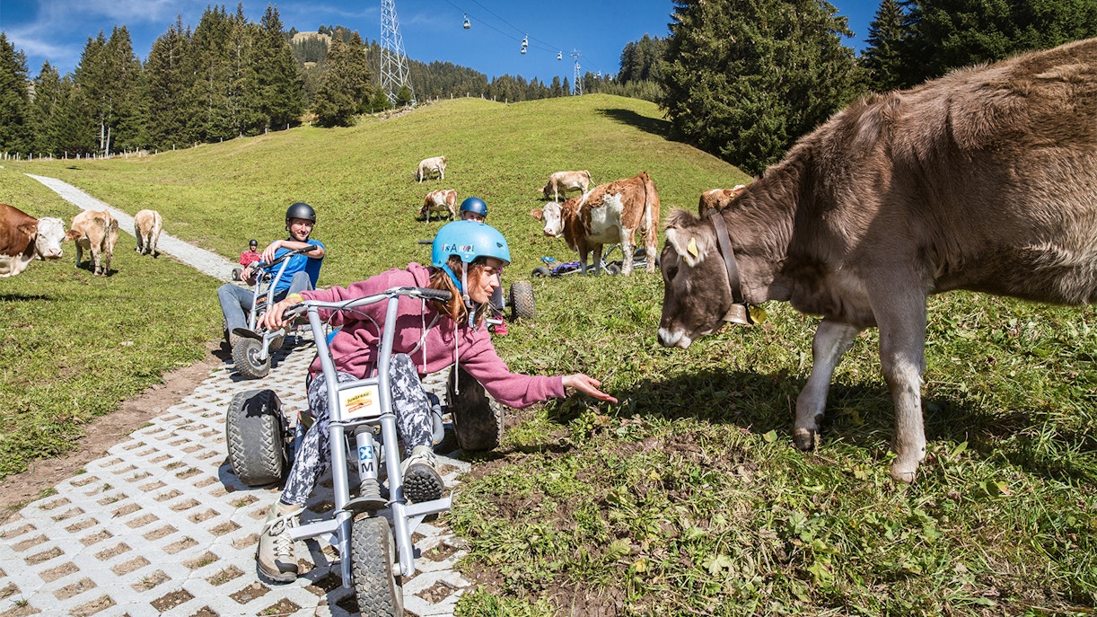 Grindelwald