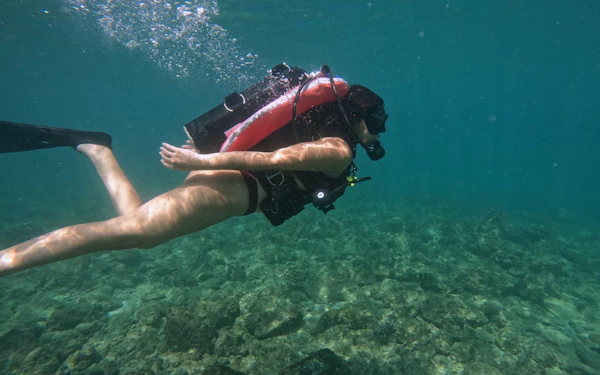 Fujairah Scuba Diving and Snorkeling Experience with Equipment and Underwater Photos