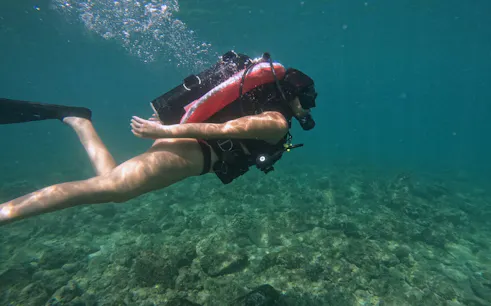Scuba diver exploring coral reef in Fujairah with diving equipment.