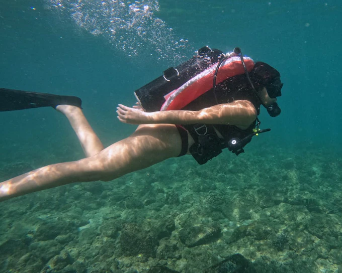 Fujairah Scuba Diving and Snorkeling Experience with Equipment and Underwater Photos (Product 52315)