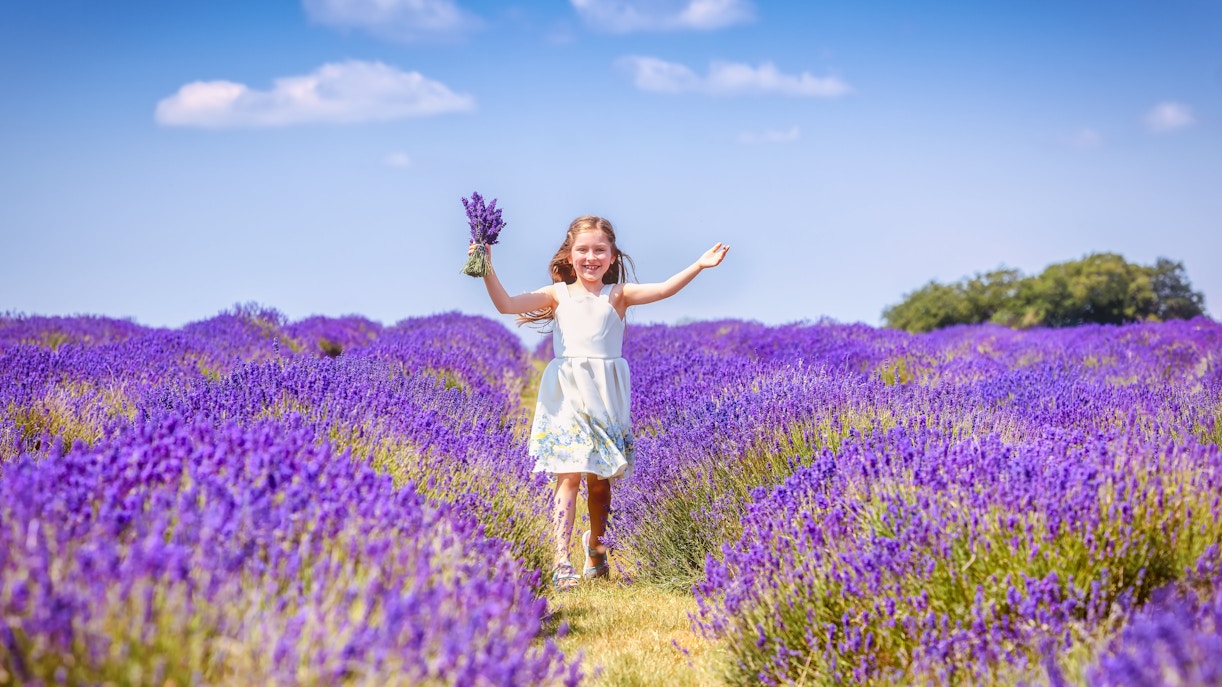 Child running through lavender fields holding flowers.