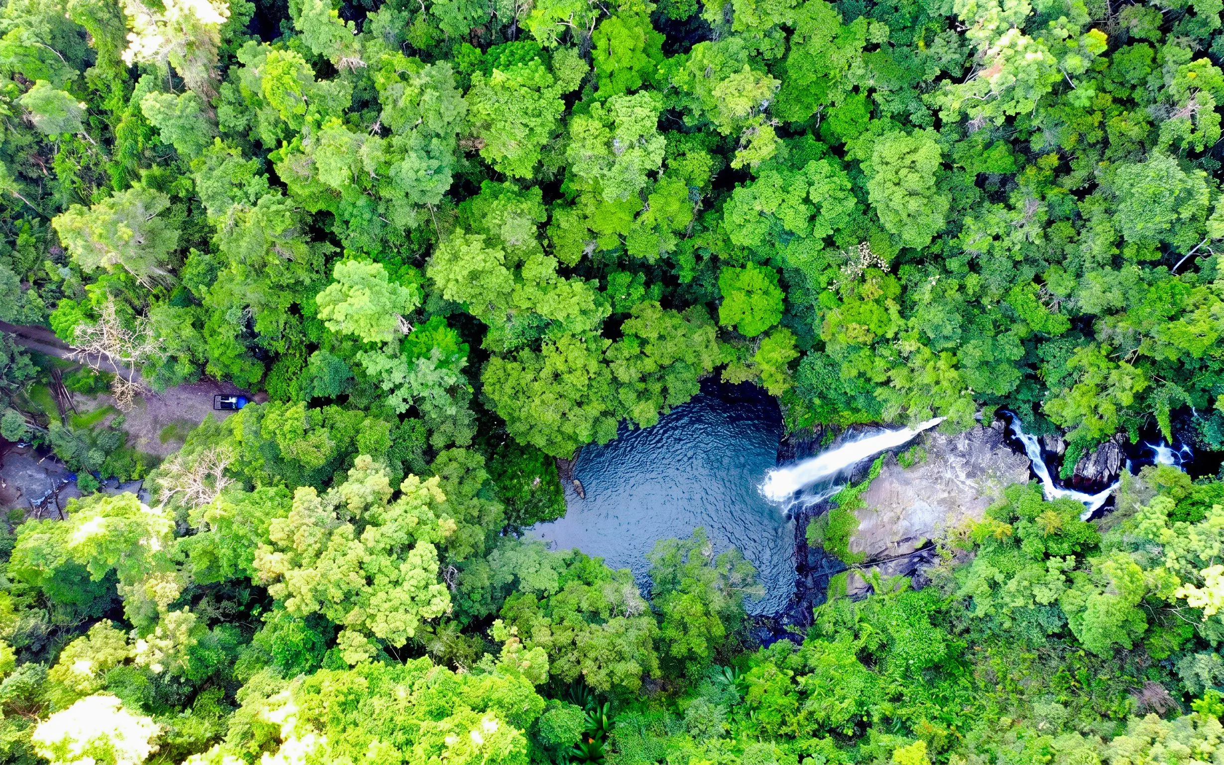Aerial view of Cassowary Falls surrounded by lush greenery in Daintree Rainforest, Australia.