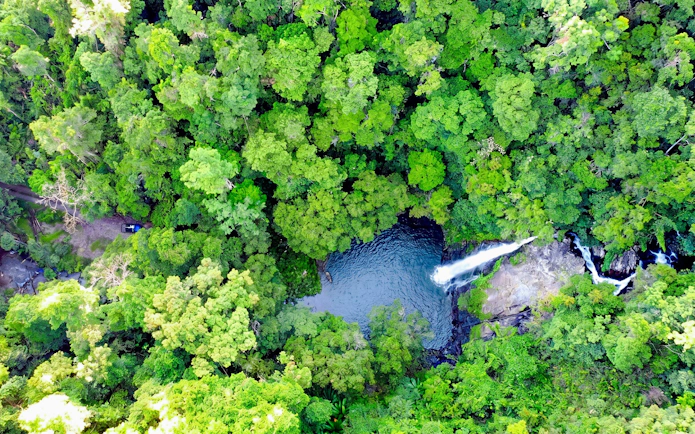Aerial view of Cassowary Falls surrounded by lush greenery in Daintree Rainforest, Australia.