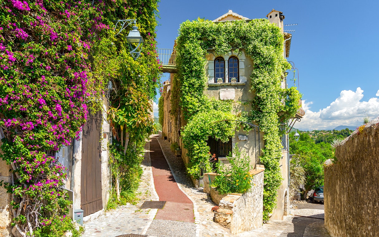 Narrow cobblestone street in Provence with ivy-covered buildings and vibrant flowers.