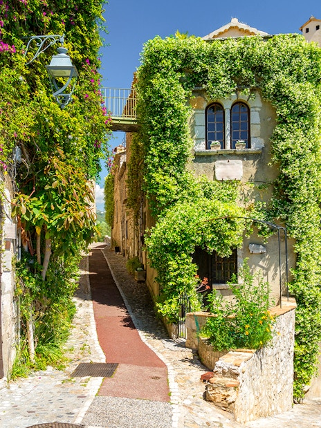 Narrow cobblestone street in Provence with ivy-covered buildings and vibrant flowers.