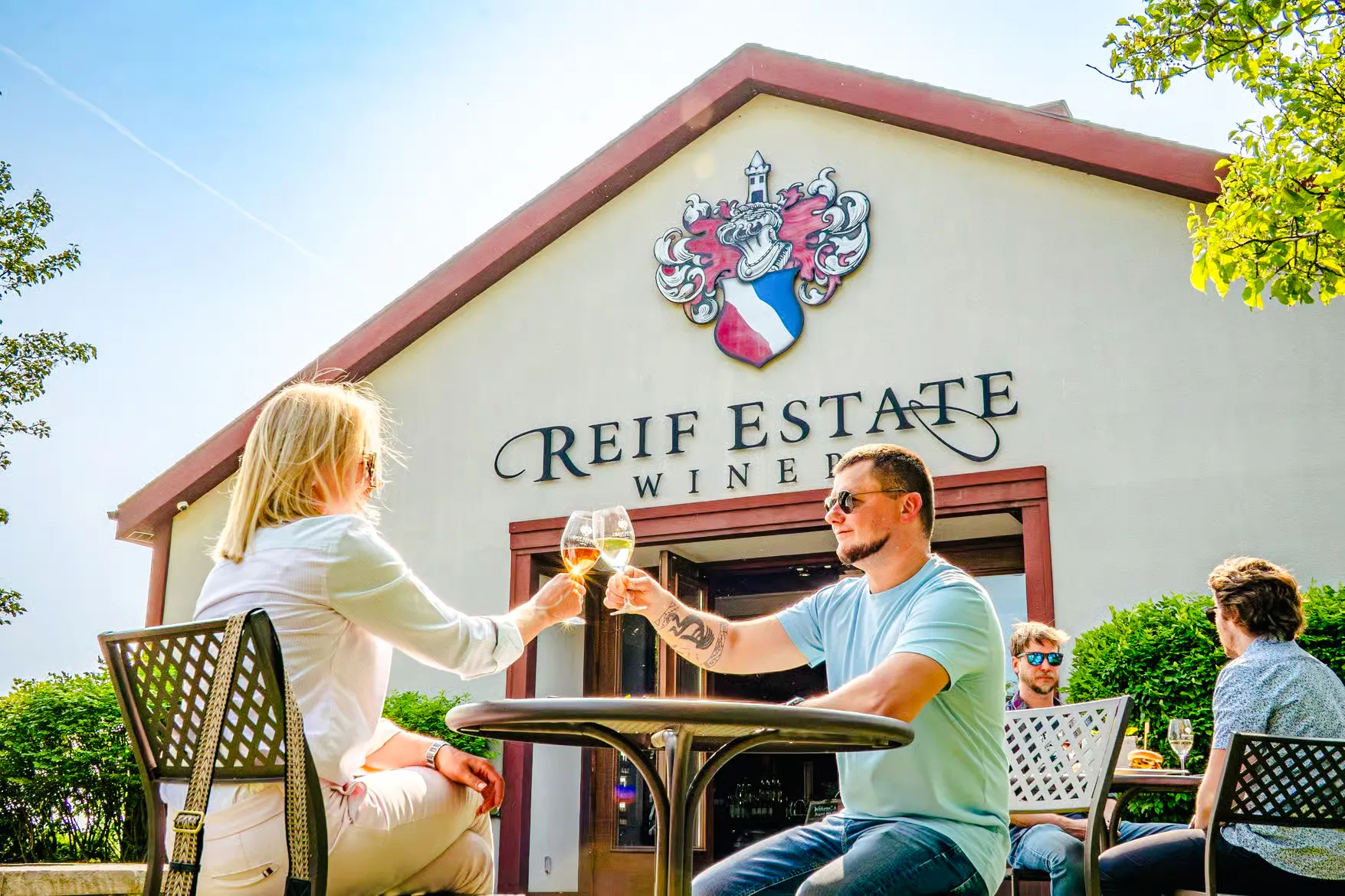 à partir de toronto : visite œnologique dans la région des châteaux d'eau de niagara avec dégustations de vin dans trois domaines viticoles et un dîner à trois plats au pillar & post-7