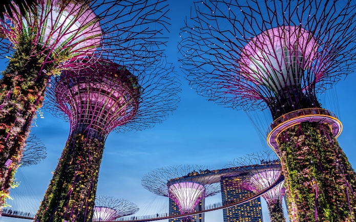 Gardens by the Bay Supertrees illuminated at night, Singapore skyline in background.
