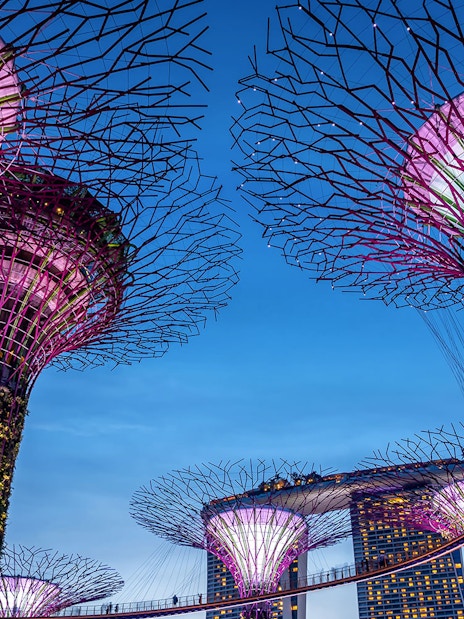 Gardens by the Bay Supertrees illuminated at night, Singapore skyline in background.