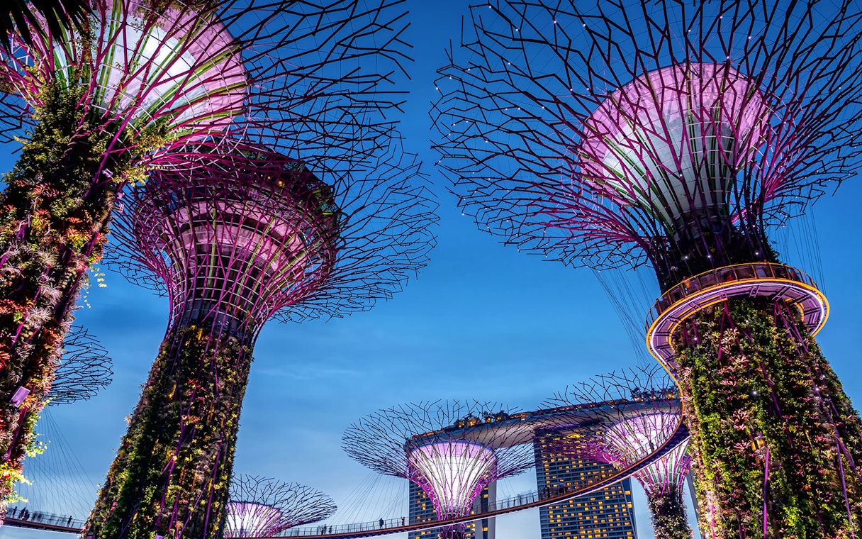 Gardens by the Bay Supertrees illuminated at night, Singapore skyline in background.