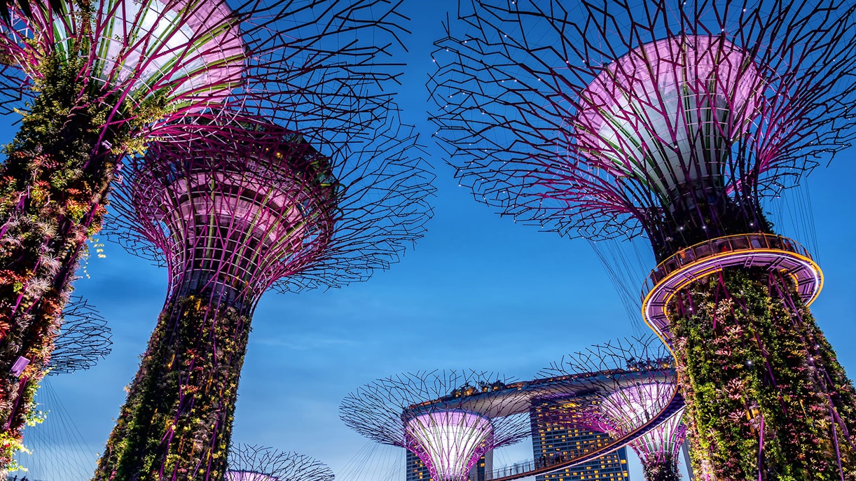 Gardens by the Bay with light up at sunset in Singapore