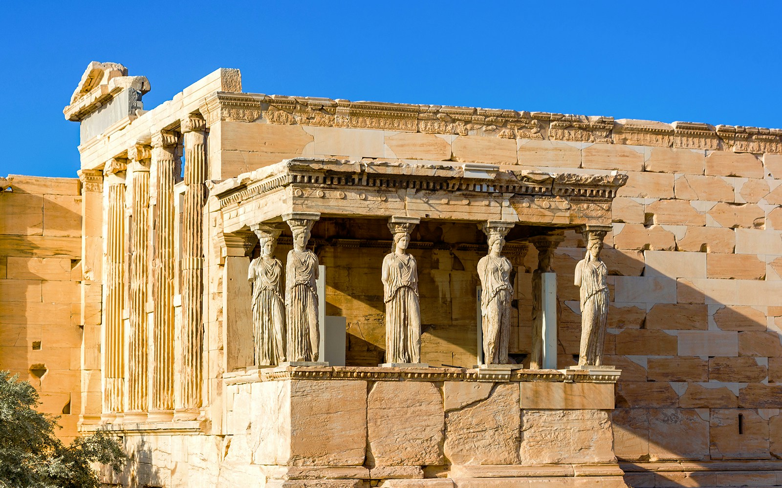 The Caryatids