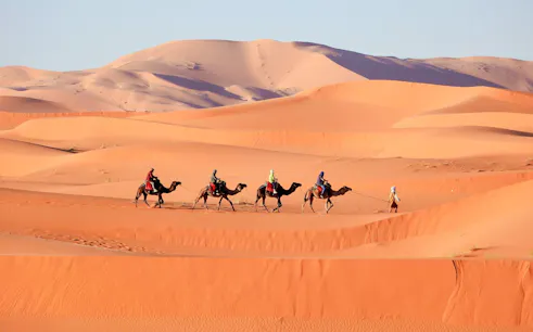 Camel trek across Merzouga dunes in Morocco desert.