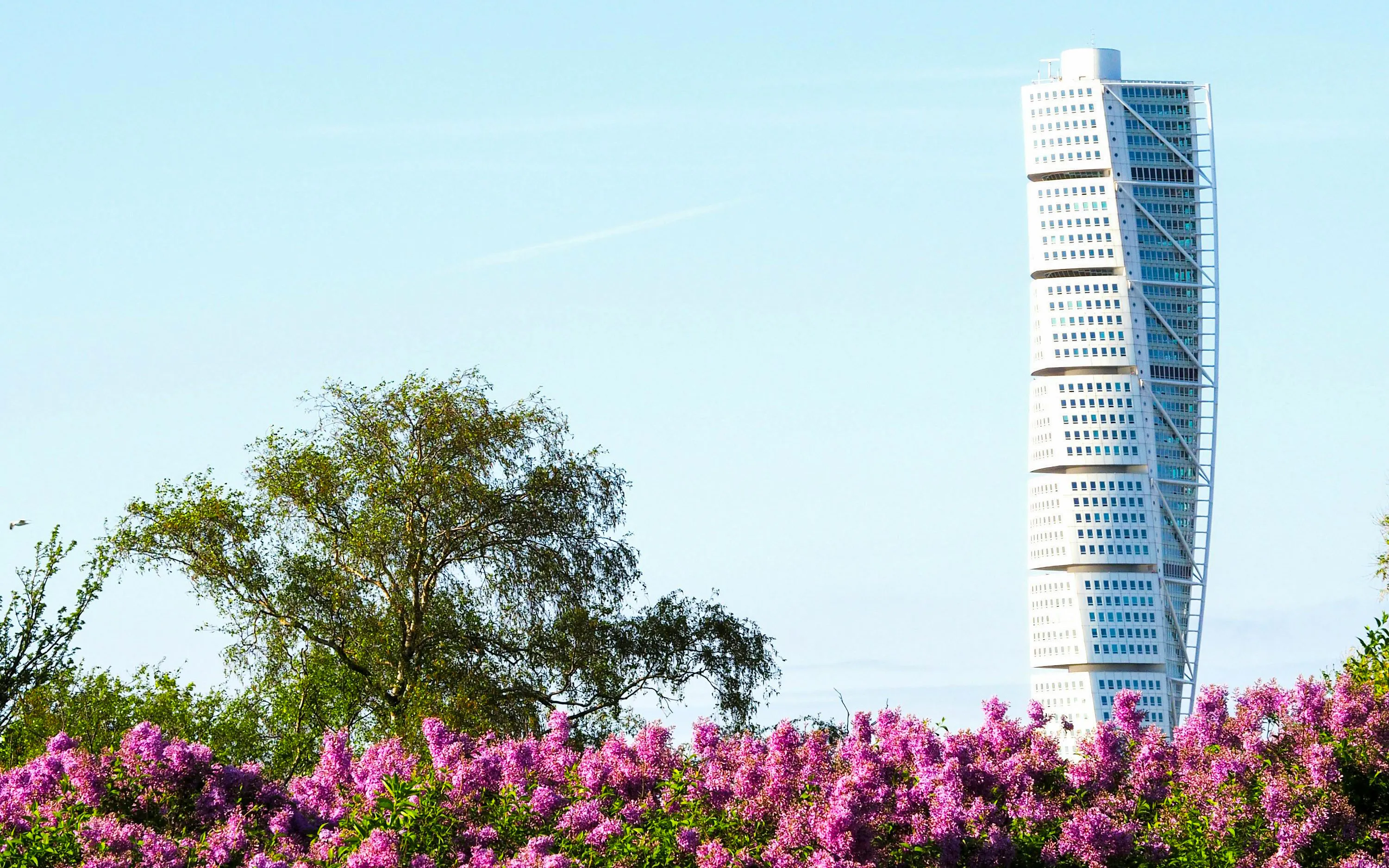 Turning Torso skyscraper in Malmö, Sweden with blooming purple flowers in the foreground.