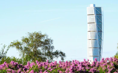 Turning Torso skyscraper in Malmö, Sweden with blooming purple flowers in the foreground.