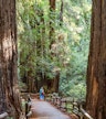 Muir Woods National Monument