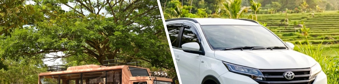 Pacchetto: Biglietti per il Bali Safari Park + noleggio auto da 7 posti