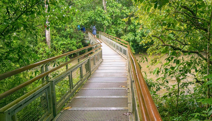 Iguazu river seen from Green Trail Iguazu falls Tropica forest Argentina