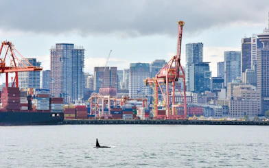 Orca whale swimming near Port of Vancouver with city skyline in background.