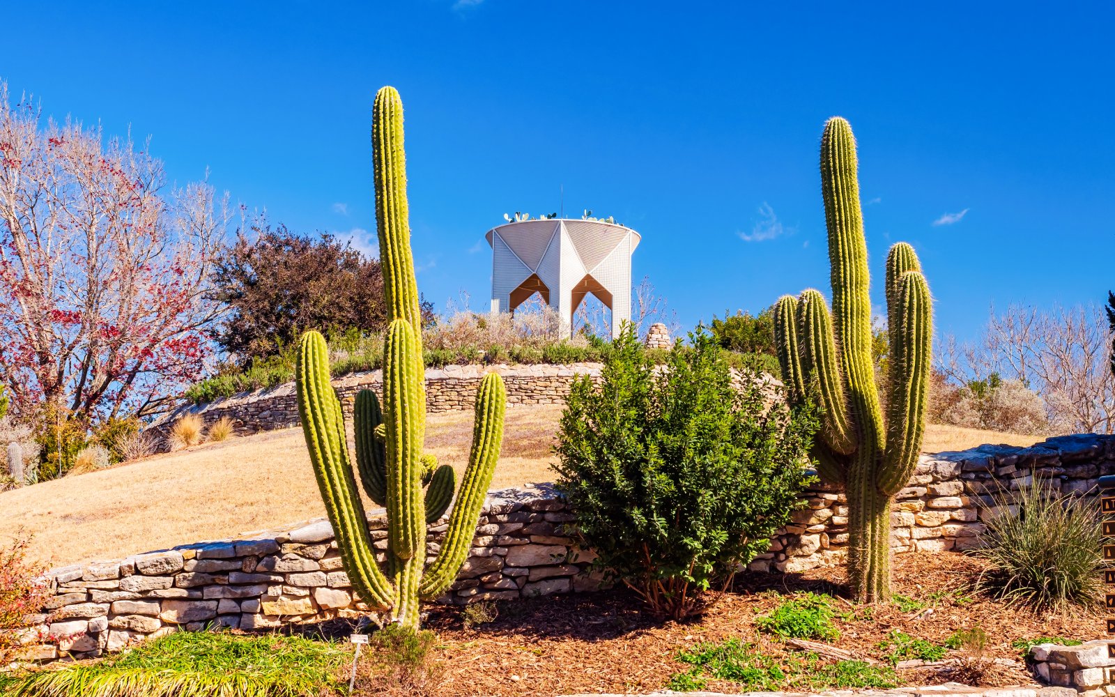 San Antonio Botanical Garden