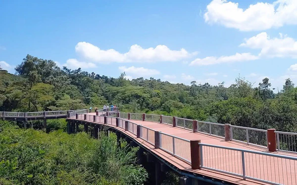 Safari Walk Tickets Nairobi National Park with Optional Hotel Transfers