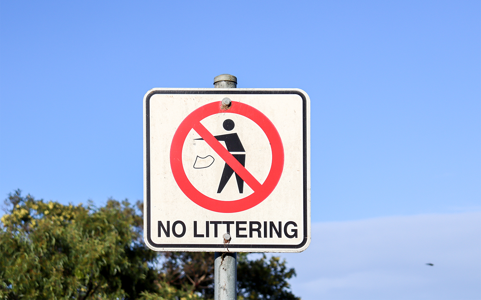 A No Littering Signboard